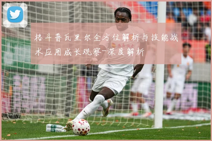 格斗普瓦里尔全方位解析与技能战术应用成长观察-深度解析