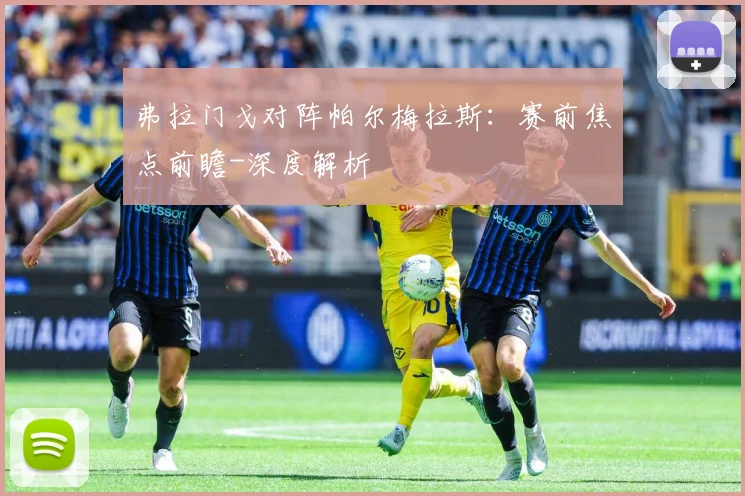 弗拉门戈对阵帕尔梅拉斯：赛前焦点前瞻-深度解析