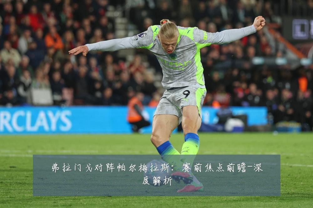 弗拉门戈对阵帕尔梅拉斯：赛前焦点前瞻-深度解析