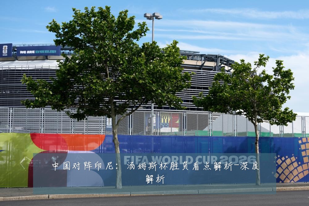 中国对阵印尼:汤姆斯杯胜负看点解析-深度解析
